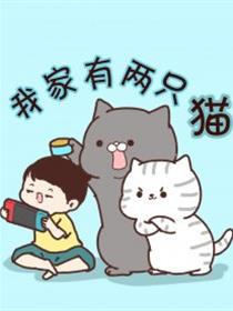 我家有两只猫